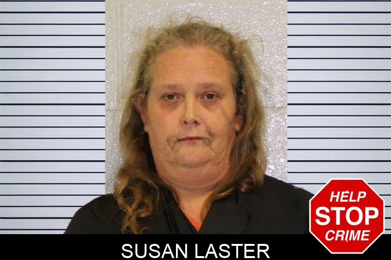 Susan Laster mugshot