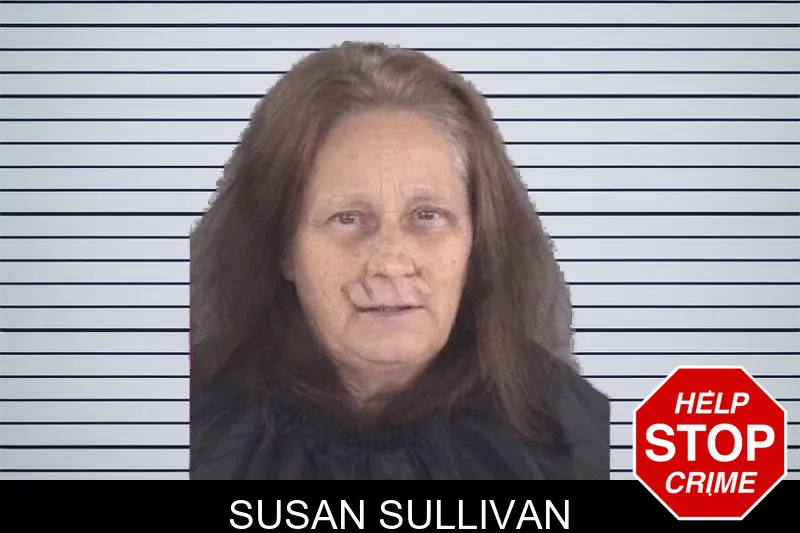 Susan Sullivan mugshot
