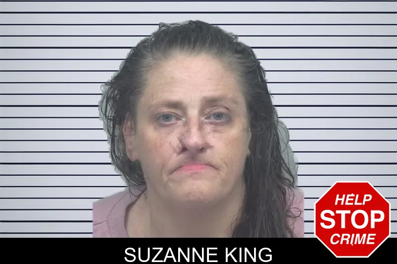 Suzanne King mugshot