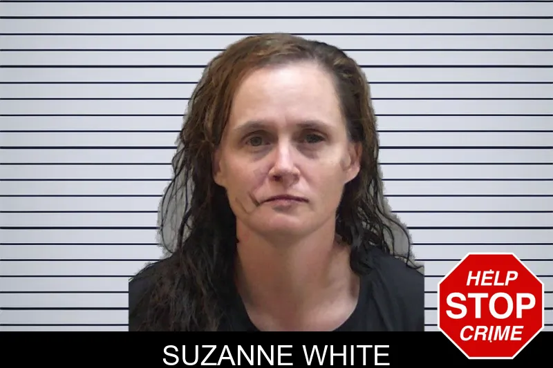 Suzanne White mugshot