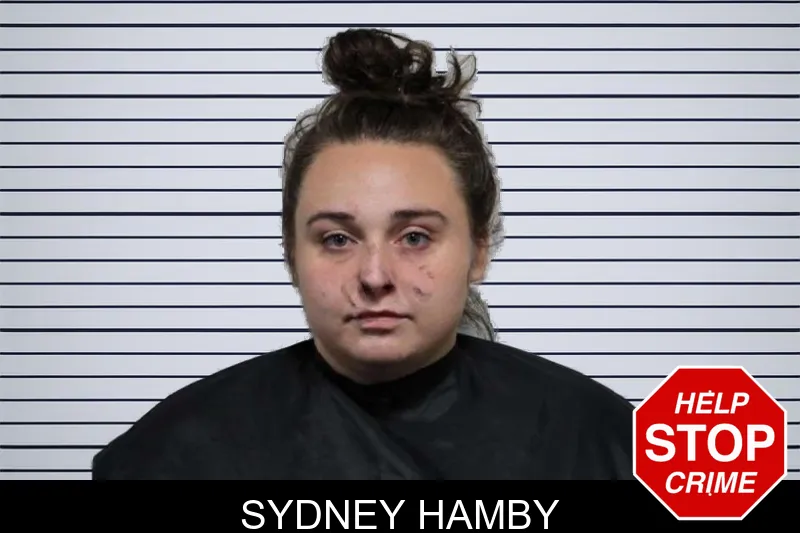Sydney Hamby mugshot