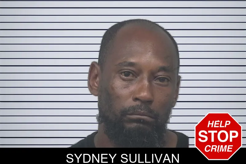 Sydney Sullivan mugshot