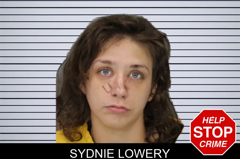 Sydnie Lowery mugshot