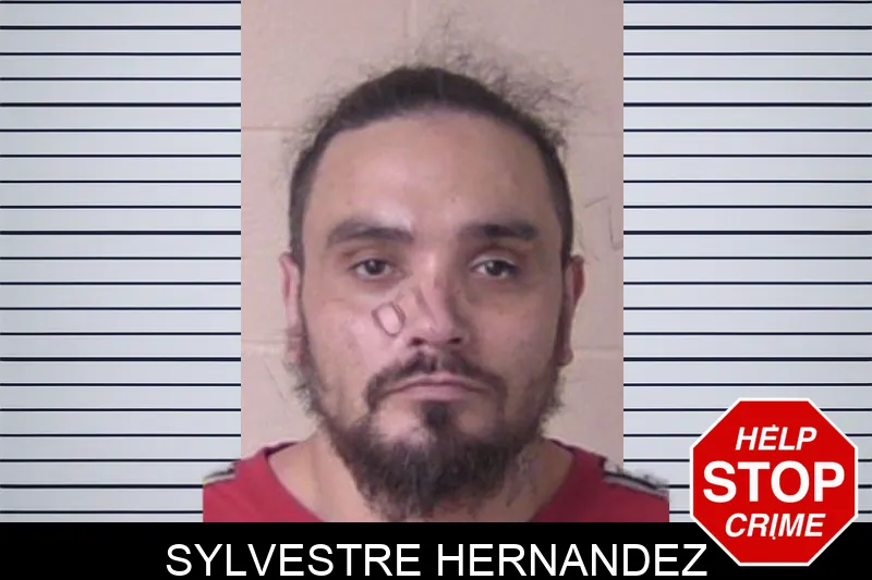 Sylvestre Hernandez mugshot