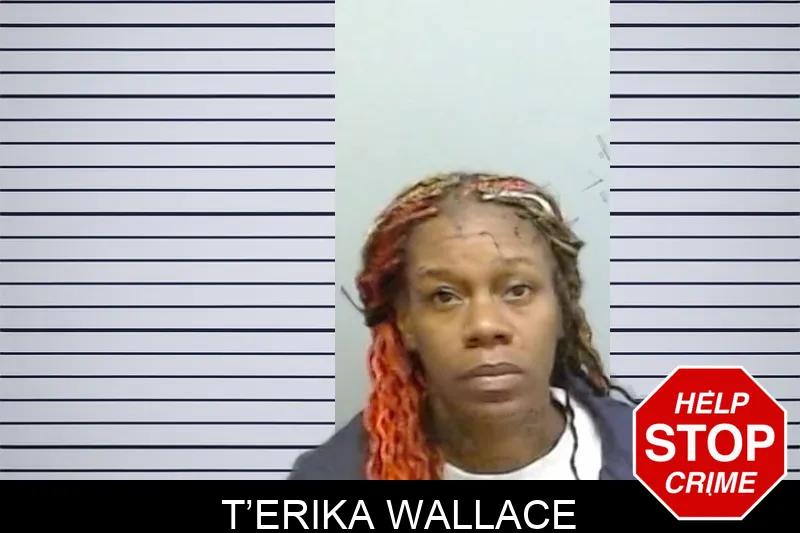 T’Erika Wallace mugshot