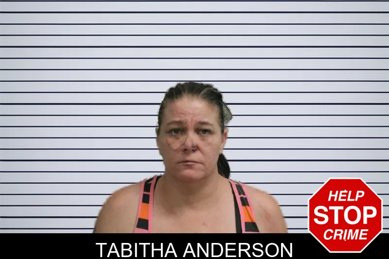 Tabitha Anderson mugshot