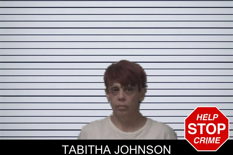 Tabitha Johnson mugshot