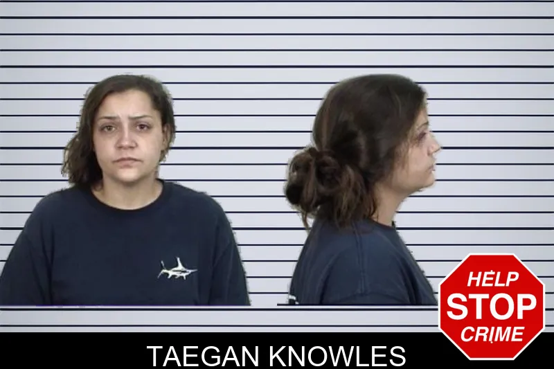 Taegan Knowles mugshot