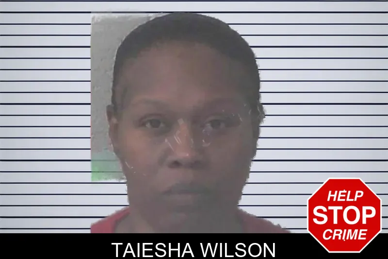 Taiesha Wilson mugshot