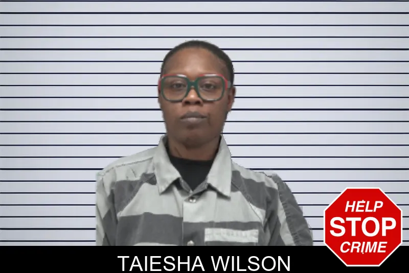 Taiesha Wilson mugshot