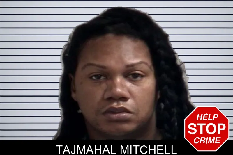Tajmahal Mitchell mugshot