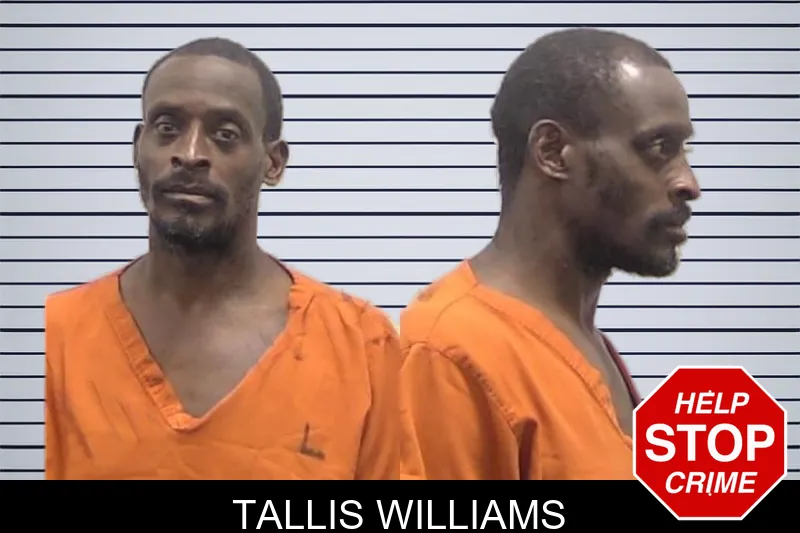 Tallis Williams mugshot