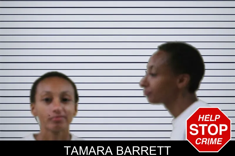 Tamara Barrett mugshot