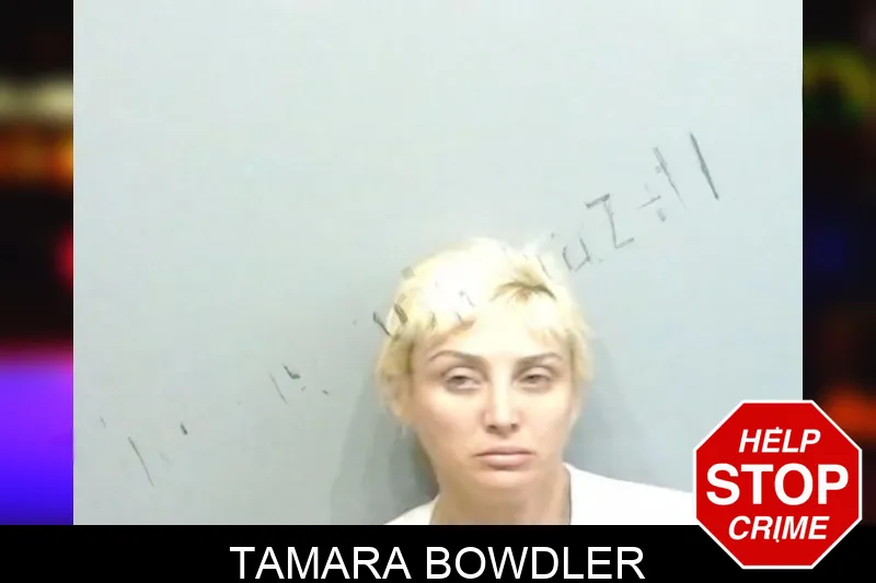 Tamara Bowdler mugshot