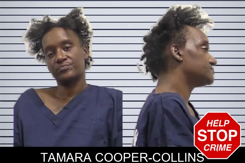 Tamara Cooper-Collins mugshot