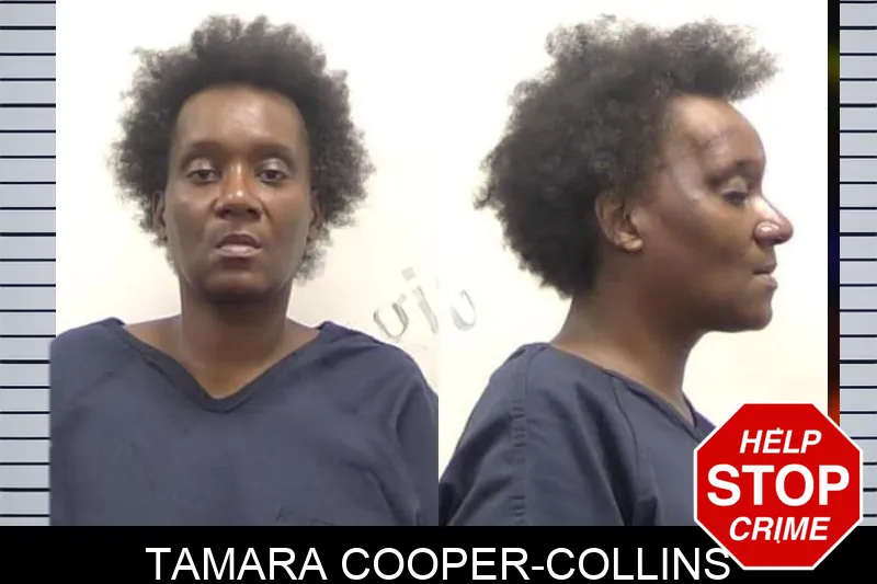 Tamara Cooper-Collins mugshot