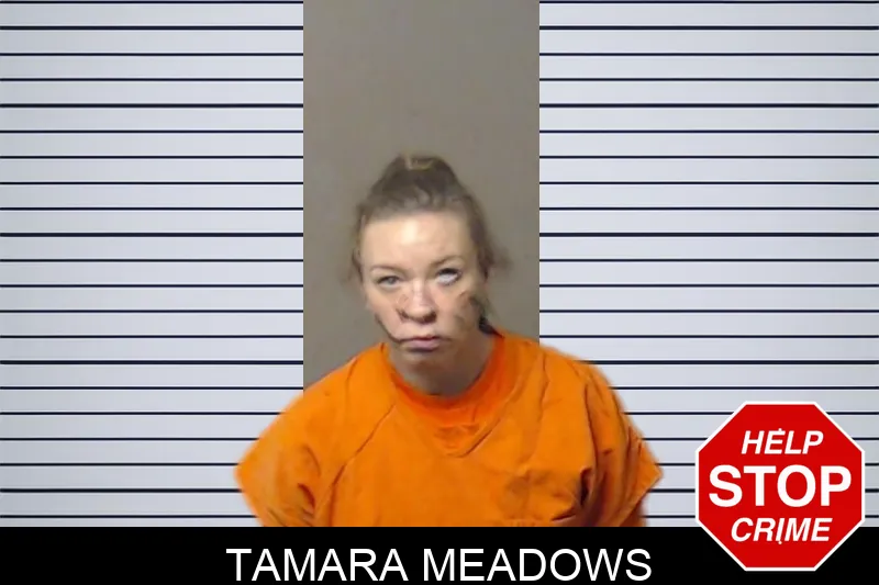 Tamara Meadows mugshot