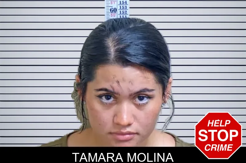 Tamara Molina mugshot