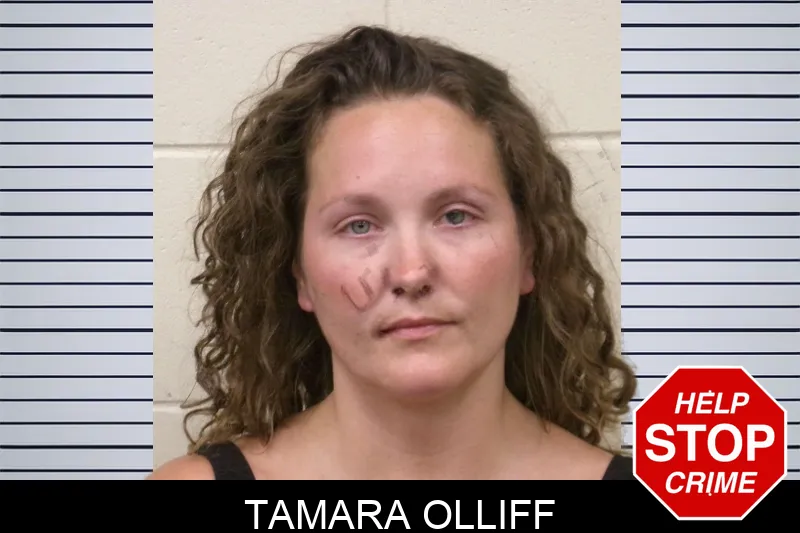 Tamara Olliff mugshot