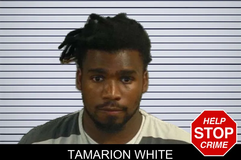 Tamarion White mugshot