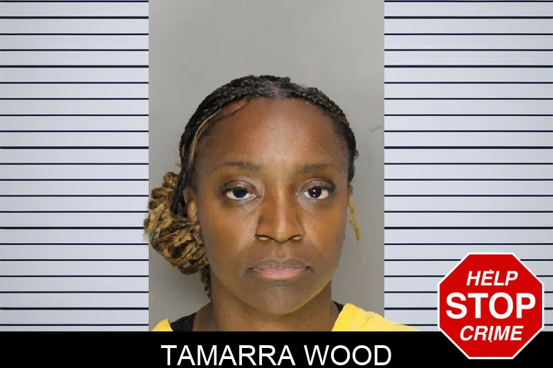 Tamarra Wood mugshot