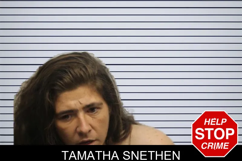 Tamatha Snethen mugshot