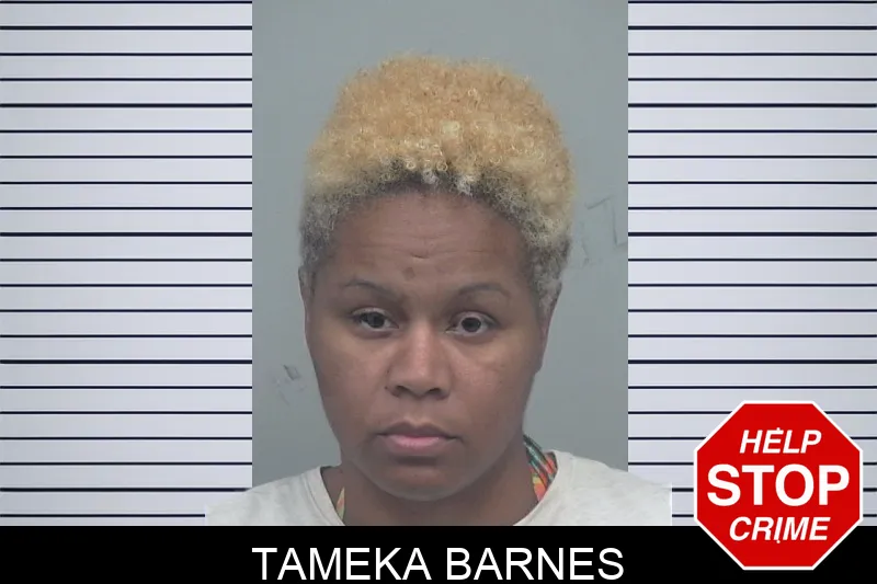 Tameka Barnes mugshot