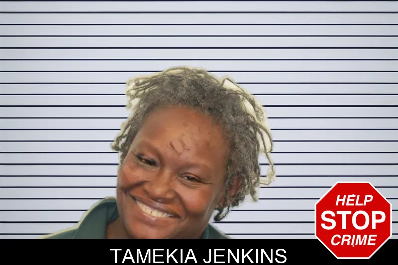 Tamekia Jenkins mugshot