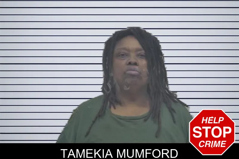 Tamekia Mumford mugshot