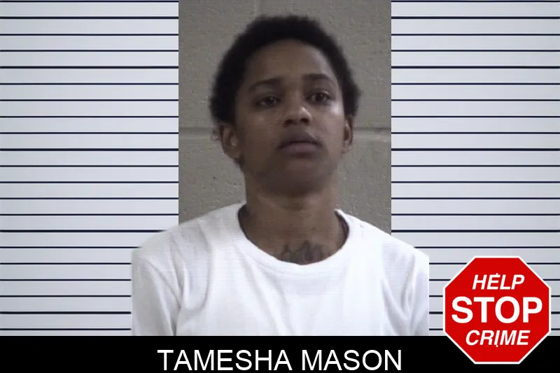 Tamesha Mason mugshot