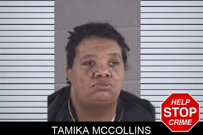 Tamika McCollins mugshot