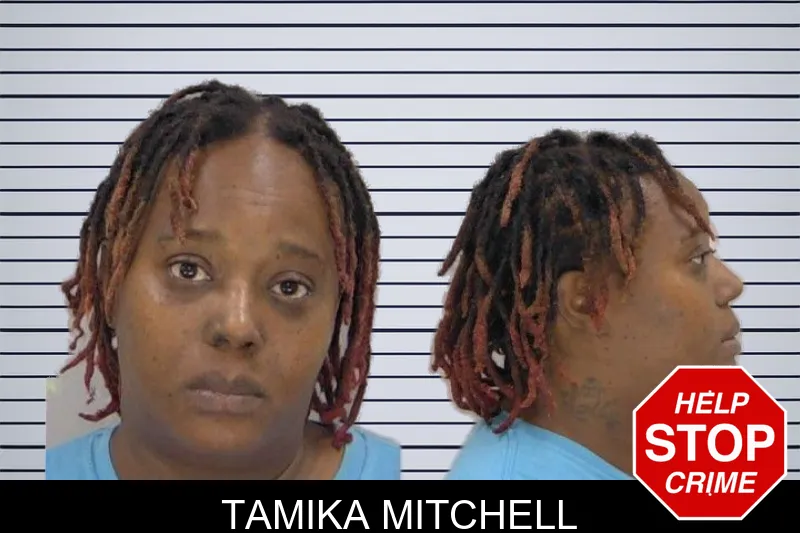 Tamika Mitchell mugshot