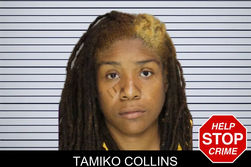 Tamiko Collins mugshot