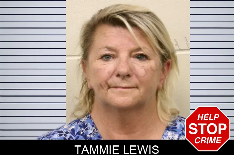 Tammie Lewis mugshot