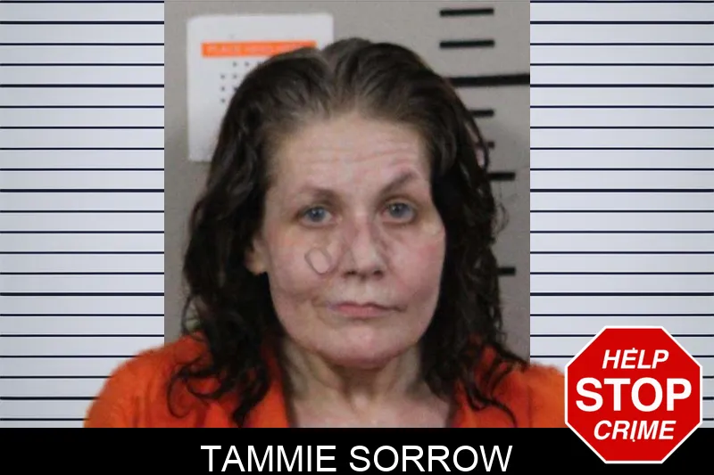 Tammie Sorrow mugshot