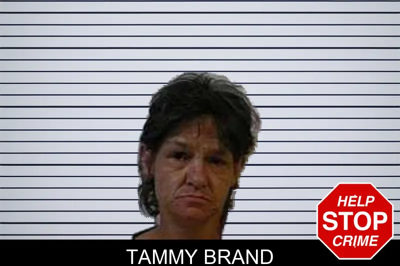 Tammy Brand mugshot