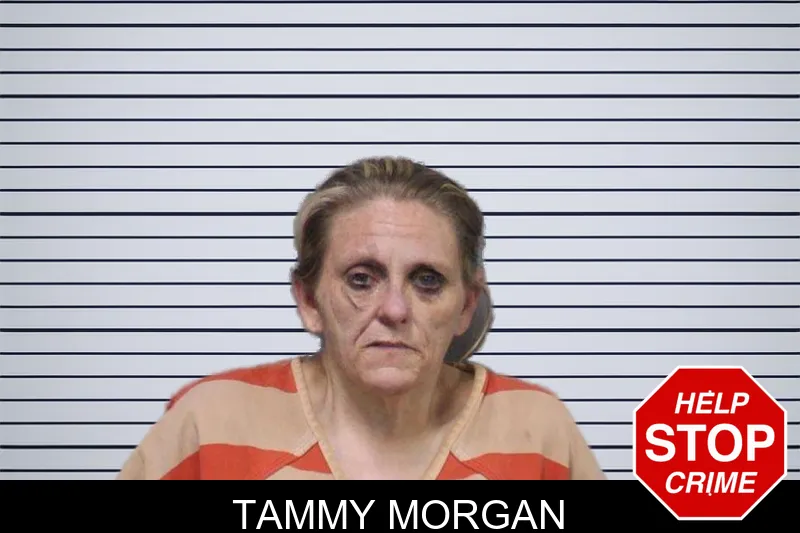 Tammy Morgan mugshot