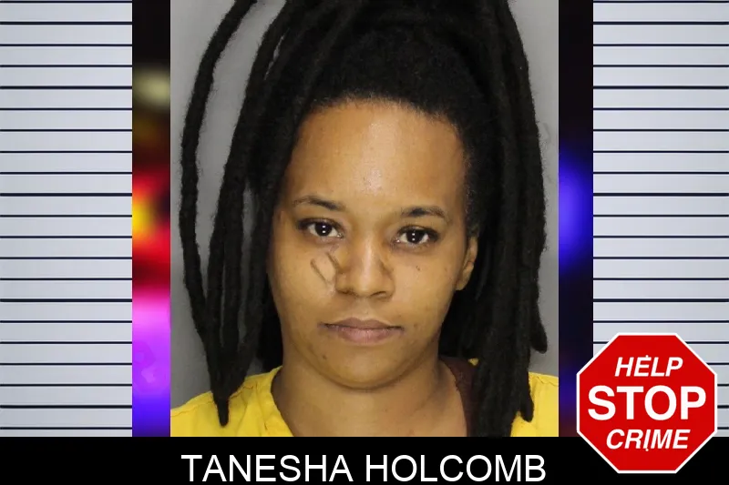 Tanesha Holcomb mugshot