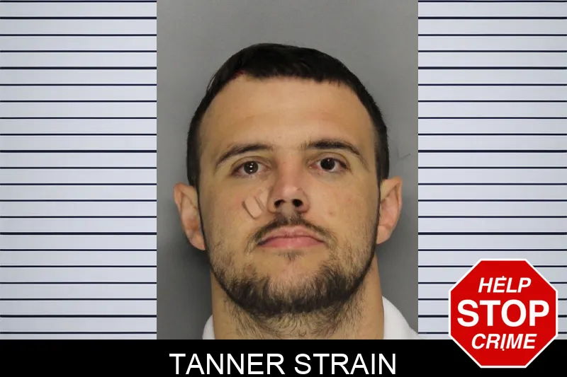 Tanner Strain mugshot