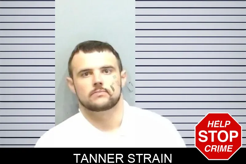 Tanner Strain mugshot
