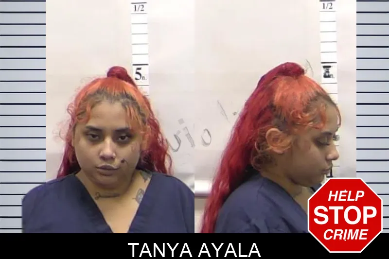 Tanya Ayala mugshot