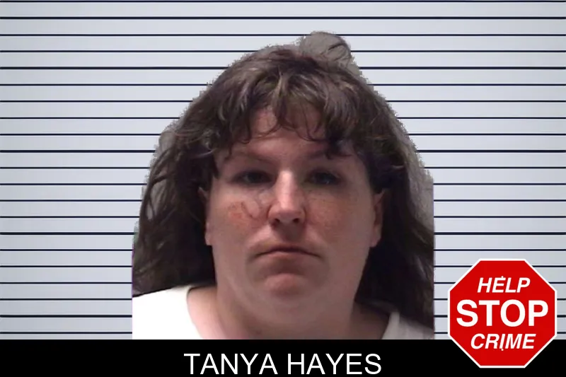 Tanya Hayes mugshot