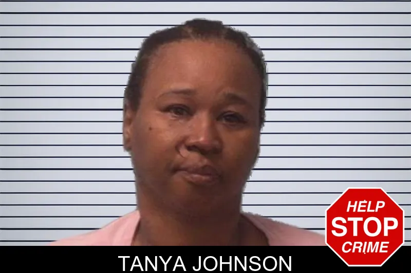 Tanya Johnson mugshot