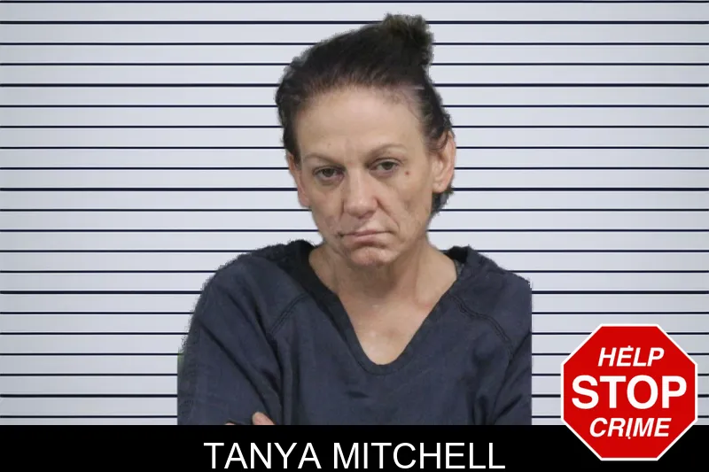 Tanya Mitchell mugshot