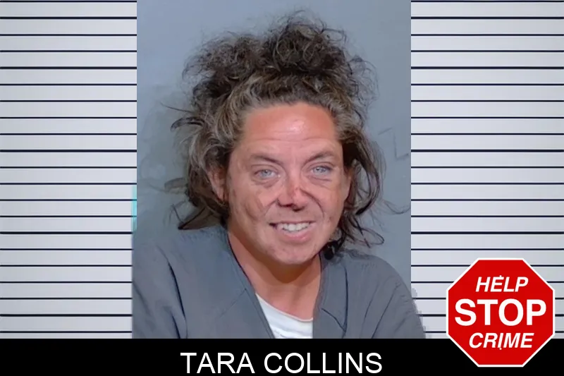 Tara Collins mugshot