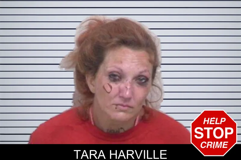 Tara Harville mugshot