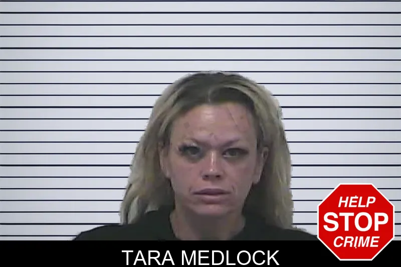 Tara Medlock mugshot