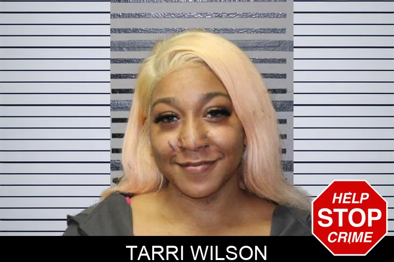 Tarri Wilson mugshot