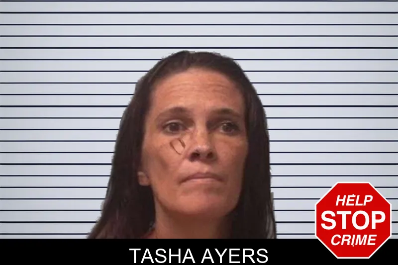 Tasha Ayers mugshot