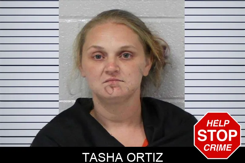 Tasha Ortiz mugshot